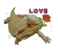 FUTOAGO OKOGE sticker #15749863