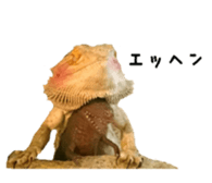 FUTOAGO OKOGE sticker #15749872