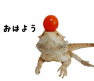 FUTOAGO OKOGE sticker #15749878