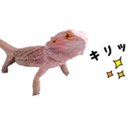 FUTOAGO OKOGE sticker #15749881