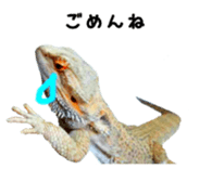 FUTOAGO OKOGE sticker #15749886