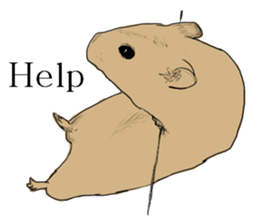 Multicolored hamster sticker #15751950