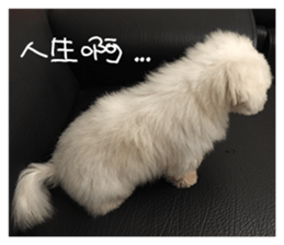 RunTen (BEWARE OF DOG) sticker #15754013