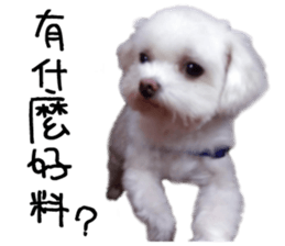 RunTen (BEWARE OF DOG) sticker #15754015