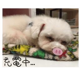 RunTen (BEWARE OF DOG) sticker #15754016