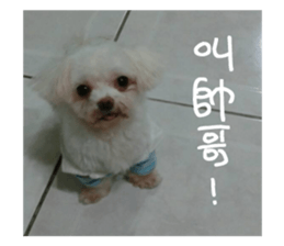 RunTen (BEWARE OF DOG) sticker #15754017