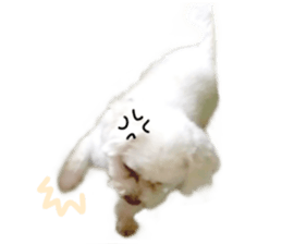 RunTen (BEWARE OF DOG) sticker #15754018