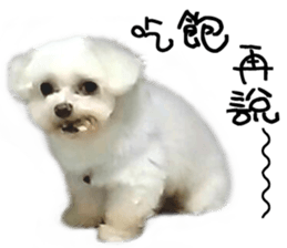 RunTen (BEWARE OF DOG) sticker #15754019