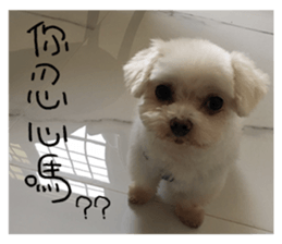 RunTen (BEWARE OF DOG) sticker #15754023