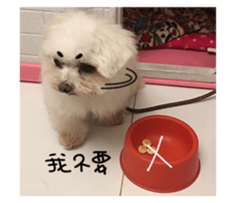 RunTen (BEWARE OF DOG) sticker #15754026