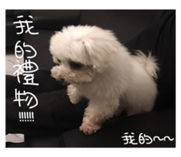 RunTen (BEWARE OF DOG) sticker #15754028