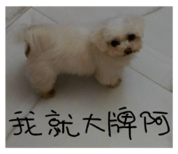 RunTen (BEWARE OF DOG) sticker #15754030