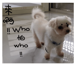 RunTen (BEWARE OF DOG) sticker #15754032