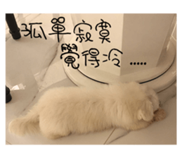 RunTen (BEWARE OF DOG) sticker #15754033