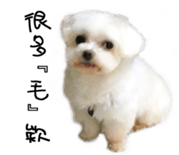 RunTen (BEWARE OF DOG) sticker #15754034