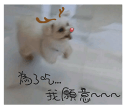 RunTen (BEWARE OF DOG) sticker #15754035