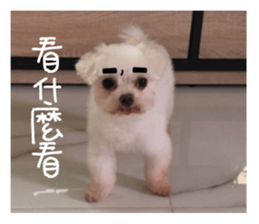 RunTen (BEWARE OF DOG) sticker #15754036