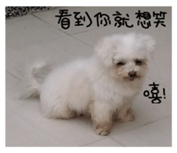 RunTen (BEWARE OF DOG) sticker #15754037