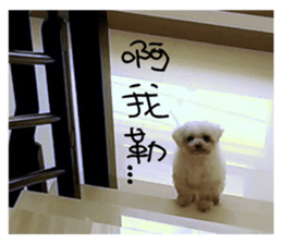 RunTen (BEWARE OF DOG) sticker #15754038