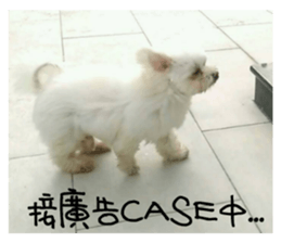 RunTen (BEWARE OF DOG) sticker #15754039