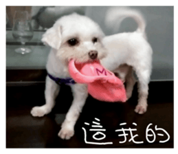 RunTen (BEWARE OF DOG) sticker #15754041