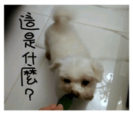 RunTen (BEWARE OF DOG) sticker #15754042