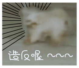 RunTen (BEWARE OF DOG) sticker #15754044