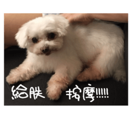 RunTen (BEWARE OF DOG) sticker #15754047