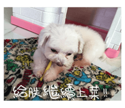 RunTen (BEWARE OF DOG) sticker #15754048