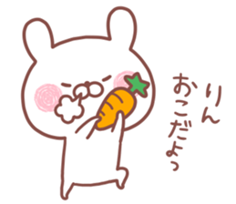 RIN STICKER. sticker #15754561