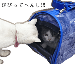 ling's cat sticker sticker #15755682