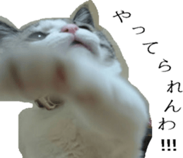 ling's cat sticker sticker #15755686