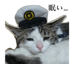 ling's cat sticker sticker #15755699