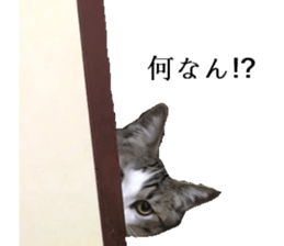 ling's cat sticker sticker #15755703