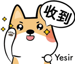 Pat on Cookie's head sticker #15758364