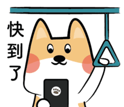 Pat on Cookie's head sticker #15758371