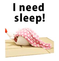 Chickenmom dancing and vacuuming ENGver sticker #15763488