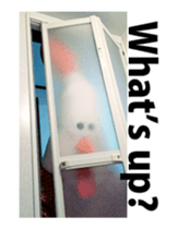 Chickenmom dancing and vacuuming ENGver sticker #15763495