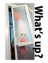 Chickenmom dancing and vacuuming ENGver sticker #15763495