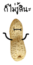 Peanut funny. sticker #15763503