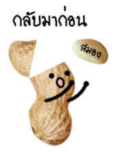 Peanut funny. sticker #15763505
