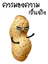 Peanut funny. sticker #15763508