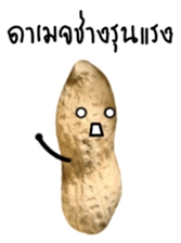 Peanut funny. sticker #15763512