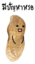 Peanut funny. sticker #15763521