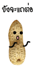 Peanut funny. sticker #15763524