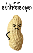 Peanut funny. sticker #15763532