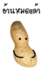 Peanut funny. sticker #15763533