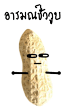 Peanut funny. sticker #15763534