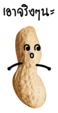Peanut funny. sticker #15763536