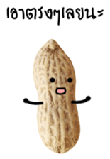 Peanut funny. sticker #15763537